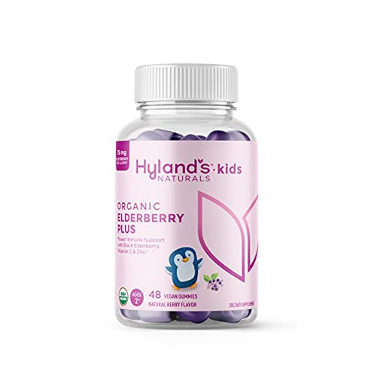 Hyland's Kids Organic Immune Support Elderberry Plus Gummies, 1 Each