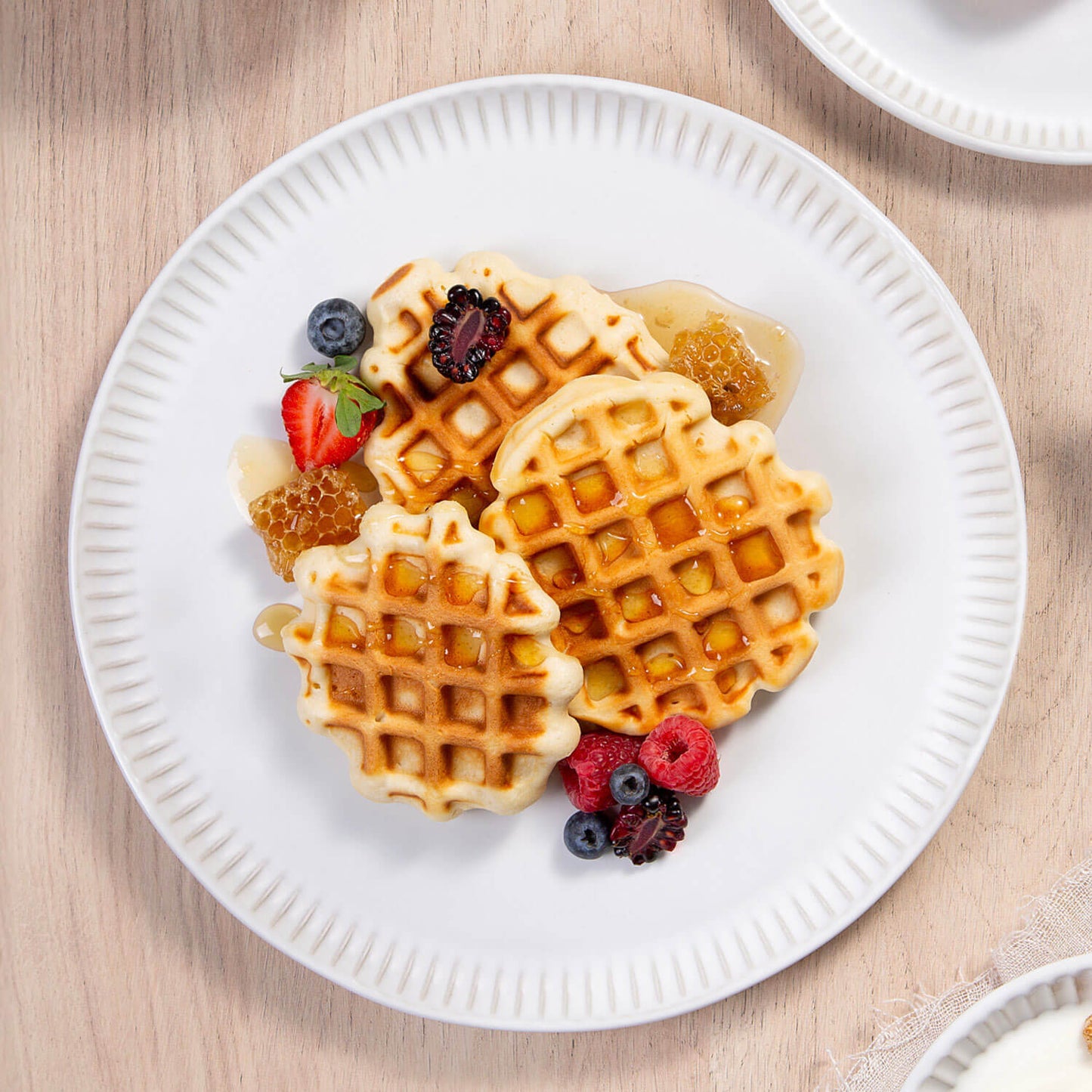 Dinner Plate Set of 4