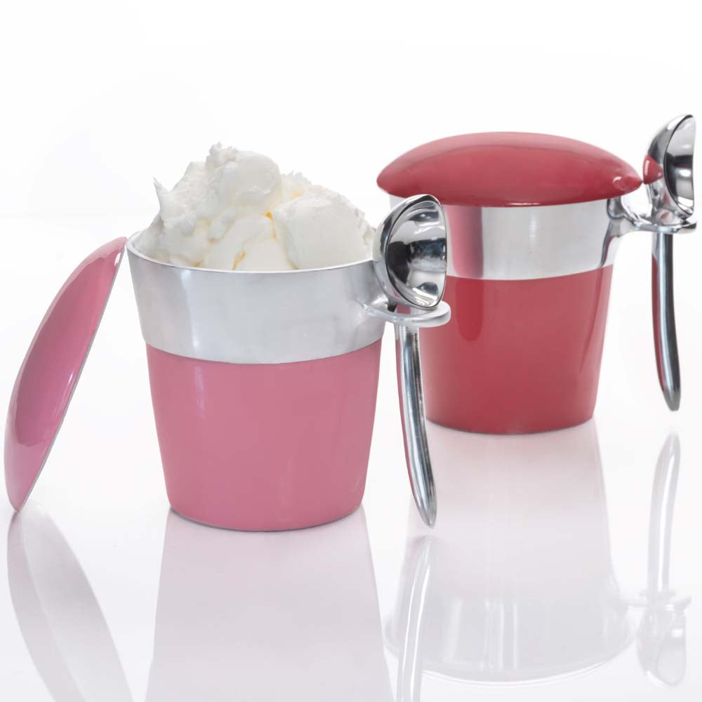 Pint Ice Cream Server Set