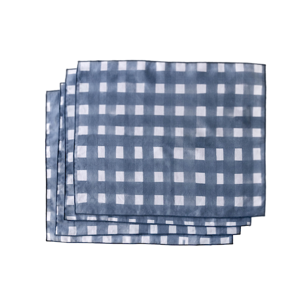 Blue Cross Hatch Placemat Set of 4
