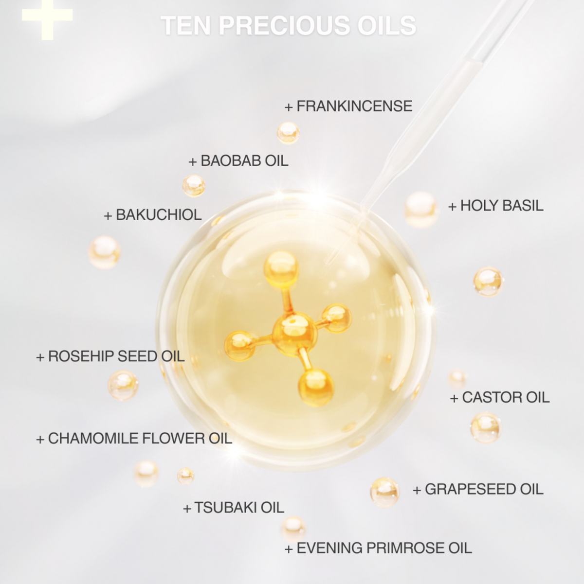 Phyto AOX Facial Oil N°10   with Exposome Defense Technology