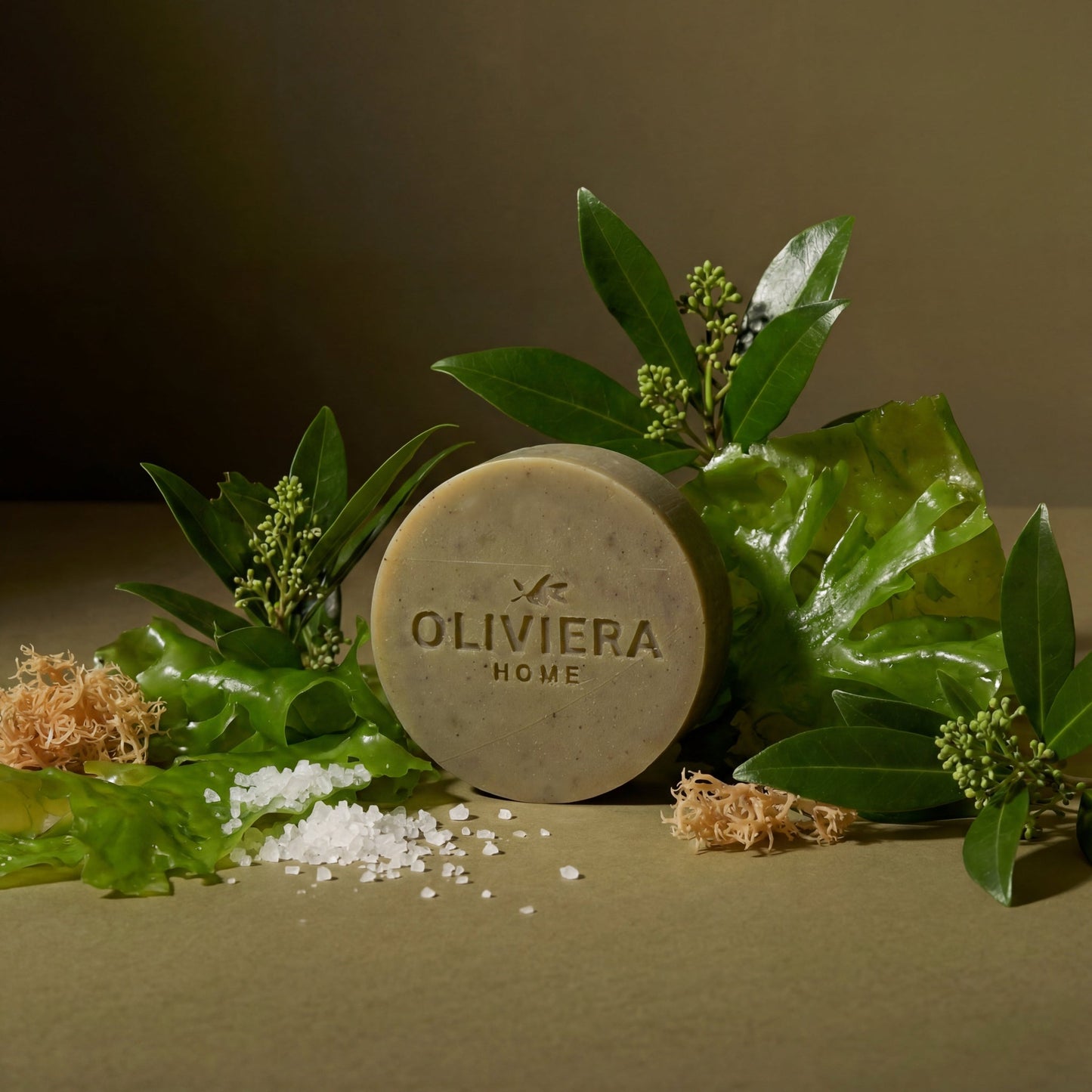 Seaweed Bar Soap Trio