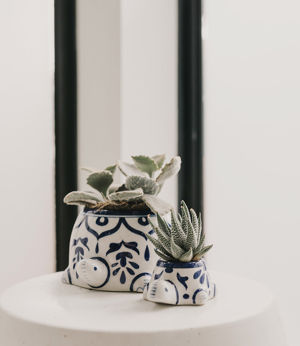 Lalita Mama Turtle Succulent Planter - White, Blue Hand Painted - Osadia Concept Store