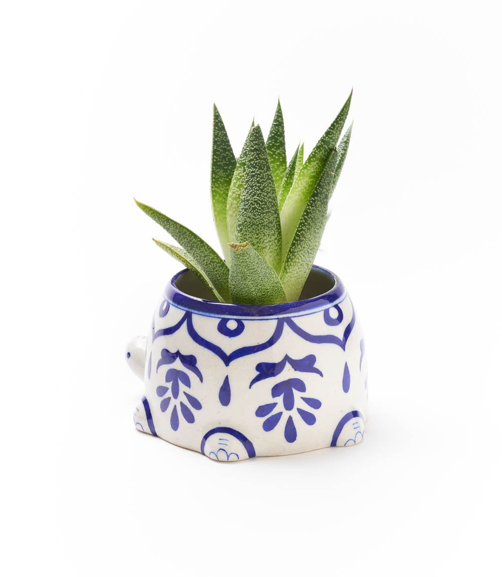 Lalita Mama Turtle Succulent Planter - White, Blue Hand Painted - Osadia Concept Store