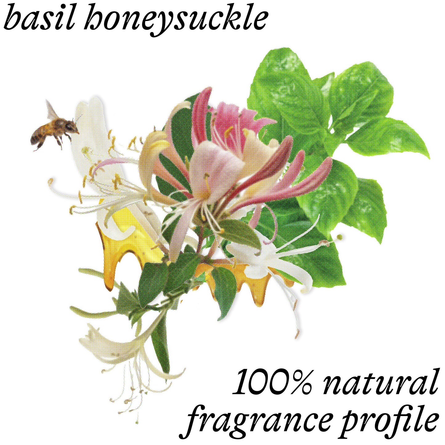 Rinse-Away Oil Cleanser