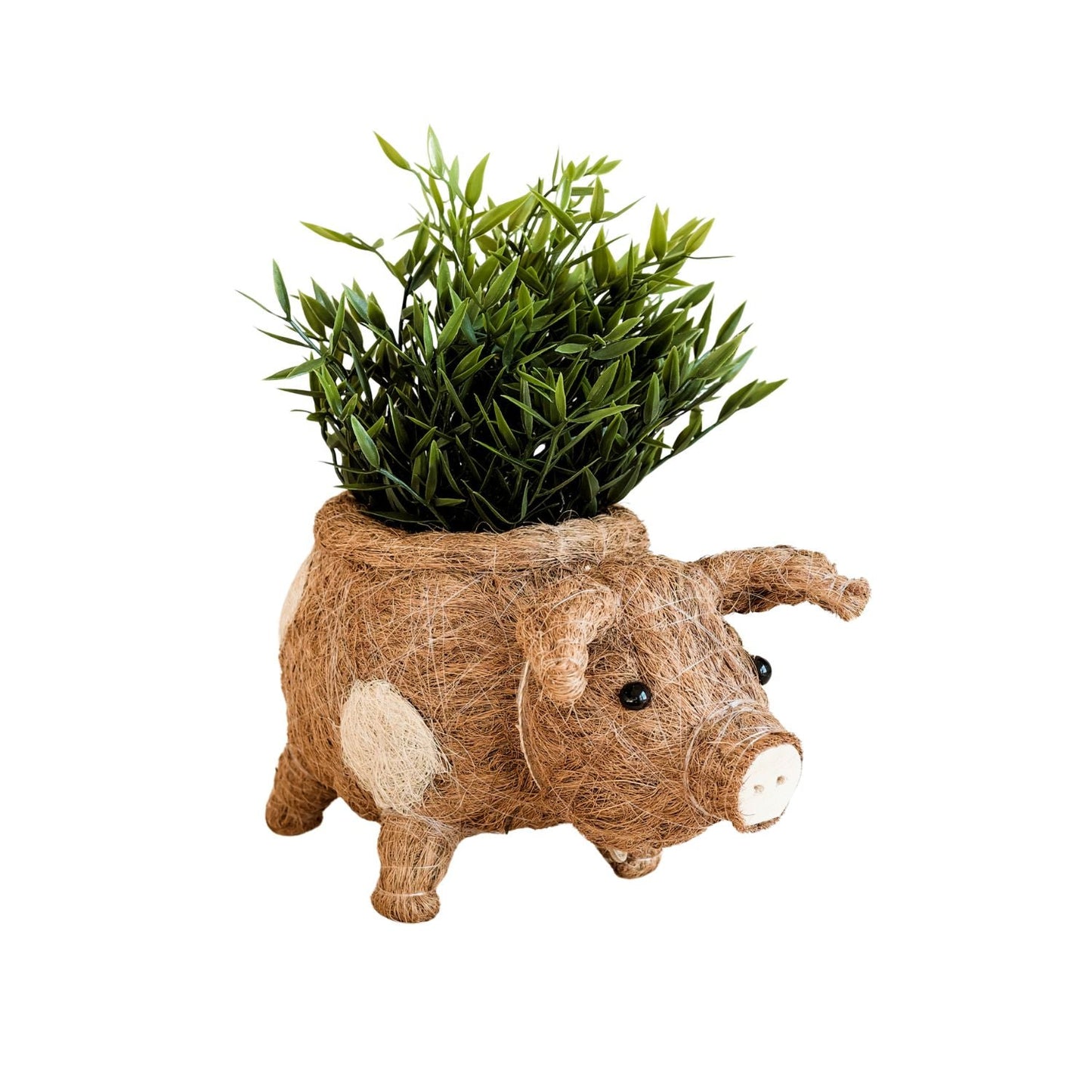 Pig Planter - Coco Coir Pots | LIKHÂ