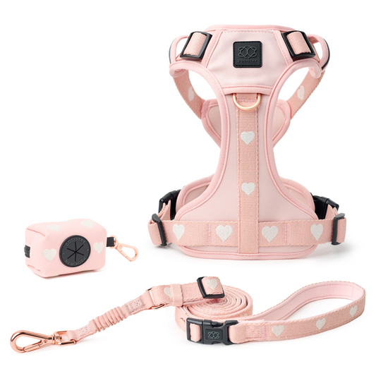 NoMad Adjustable Dog Walking Set - Sweetheart