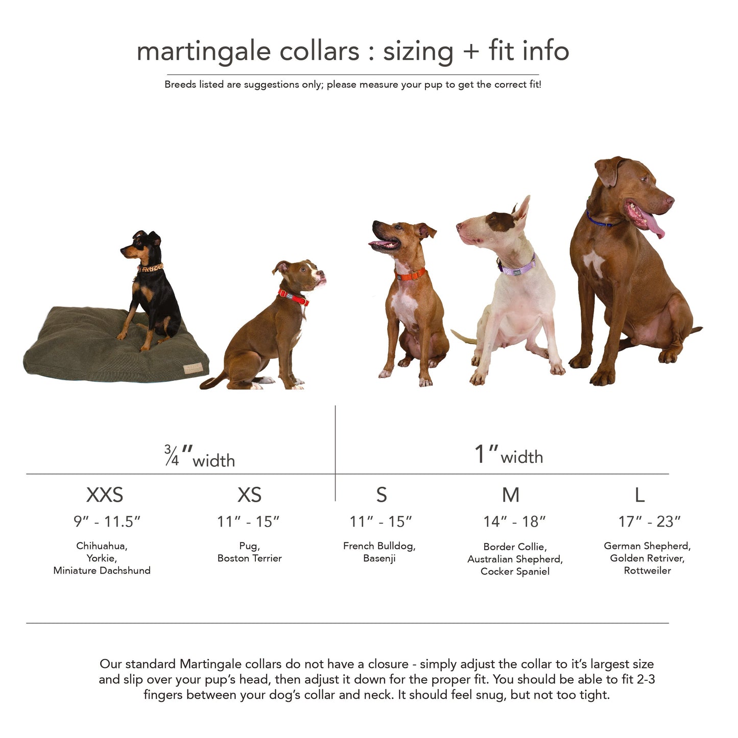Martingale Dog Collar – Rose + Grape