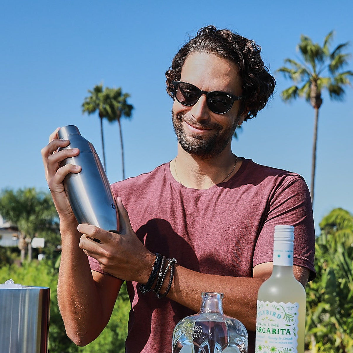 Stainless Steel Cocktail Shaker, Steel