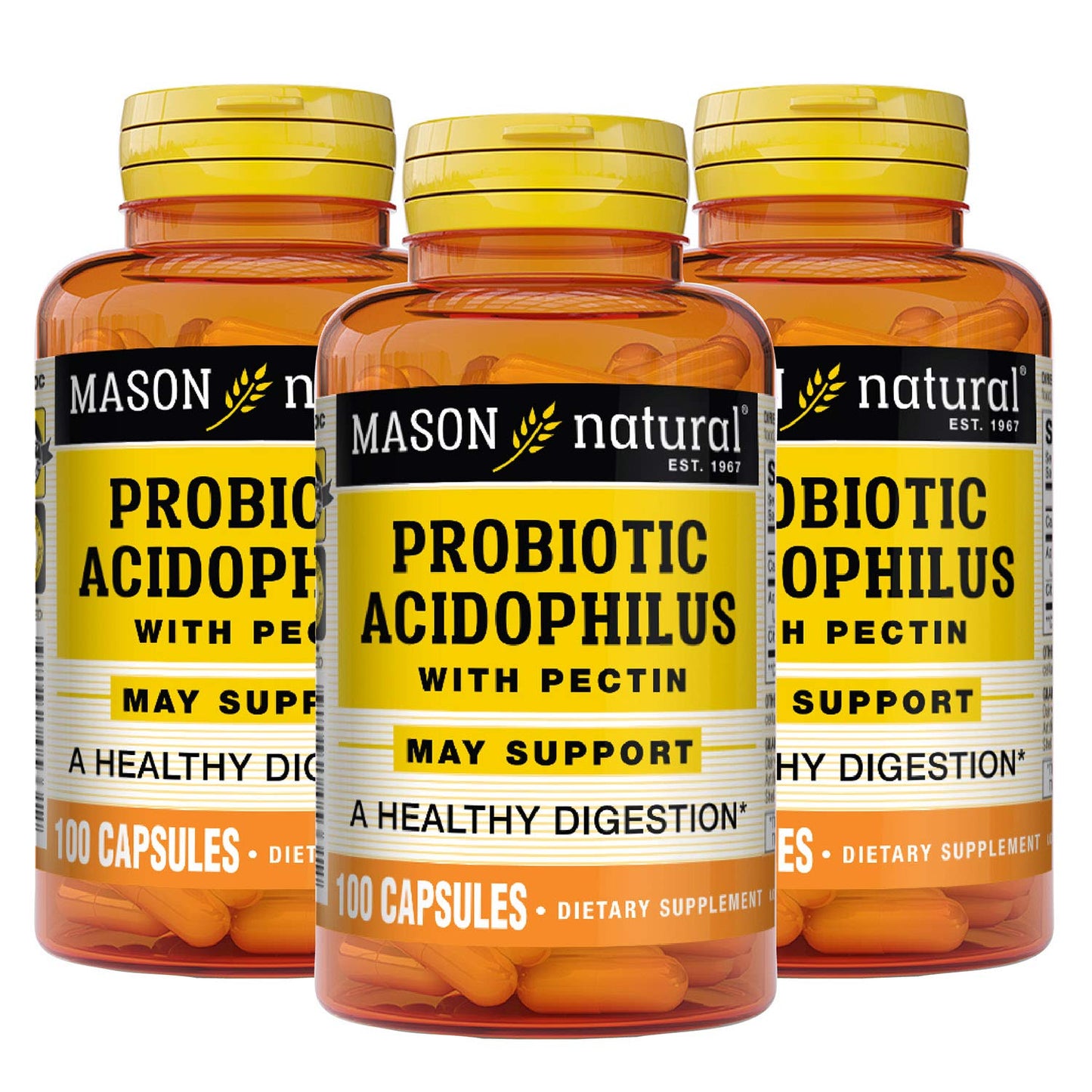 Mason Natural Probiotic Acidophilus With Pectin, 100 Capsules