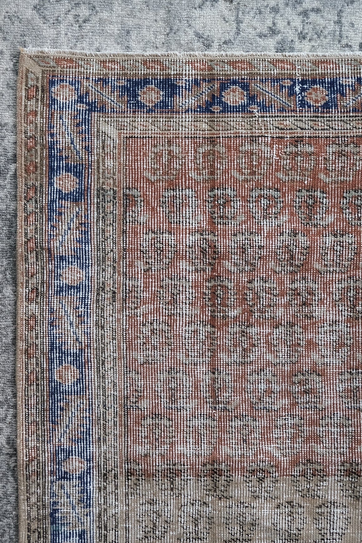 Mehmet (3.8 x 6.6)