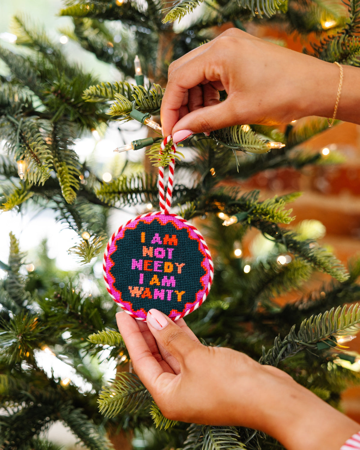 Needlepoint Ornament - Not Needy