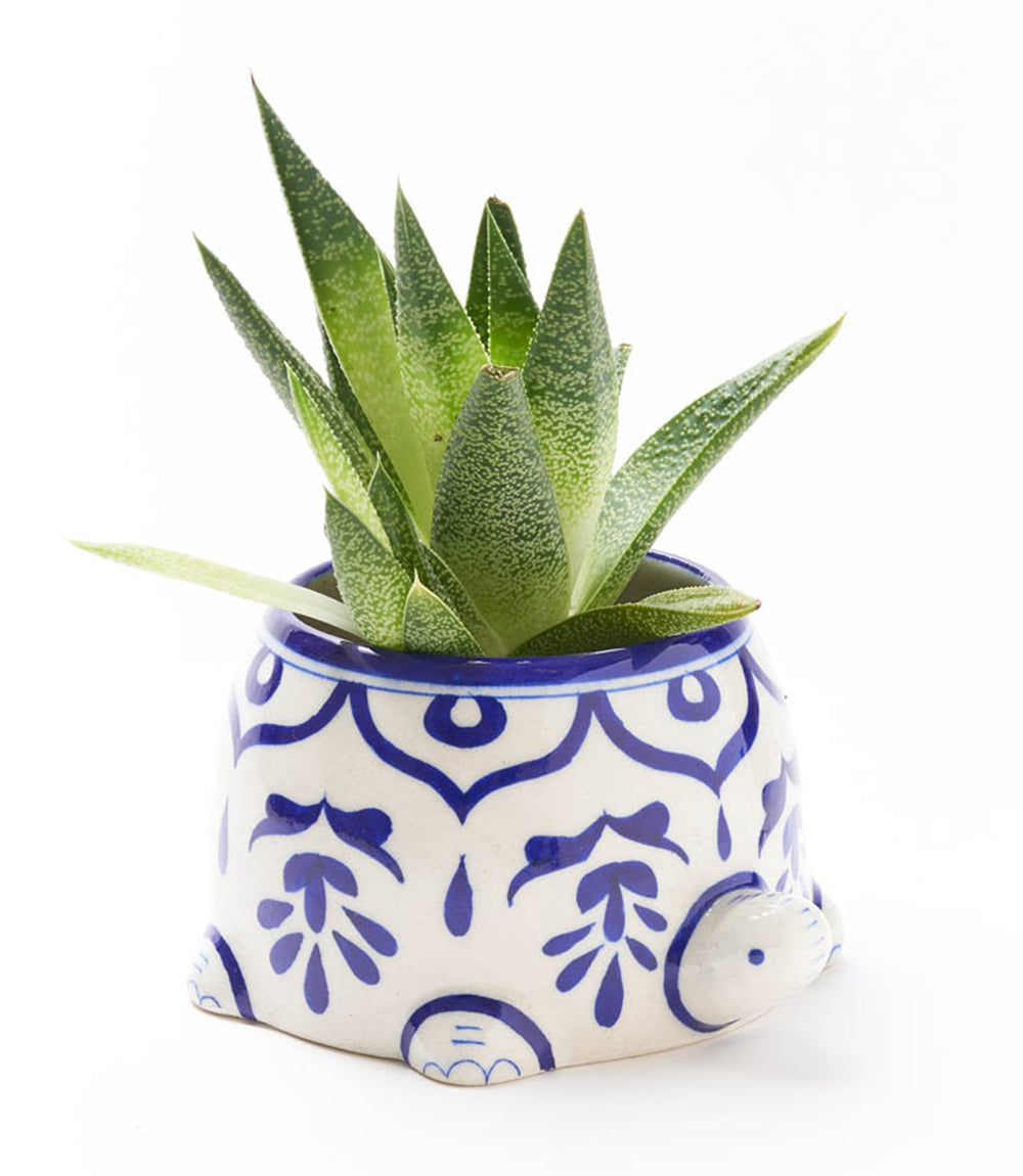 Lalita Mama Turtle Succulent Planter - White, Blue Hand Painted - Osadia Concept Store