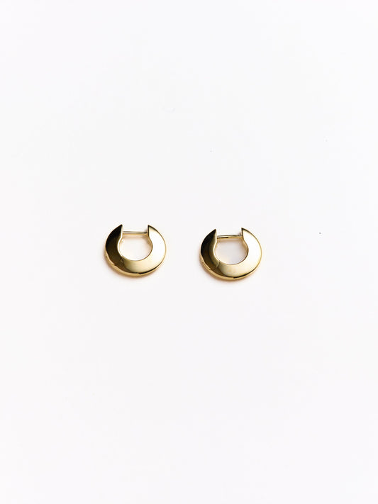 Talia Small Hoop Earrings