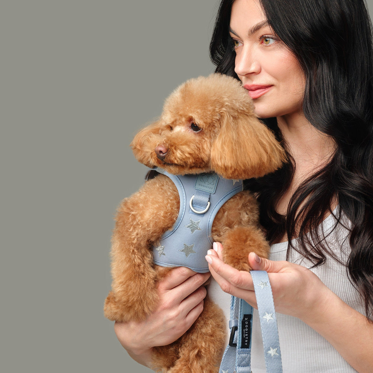 SoHo Dog Walking Set - Rockstar Hudson