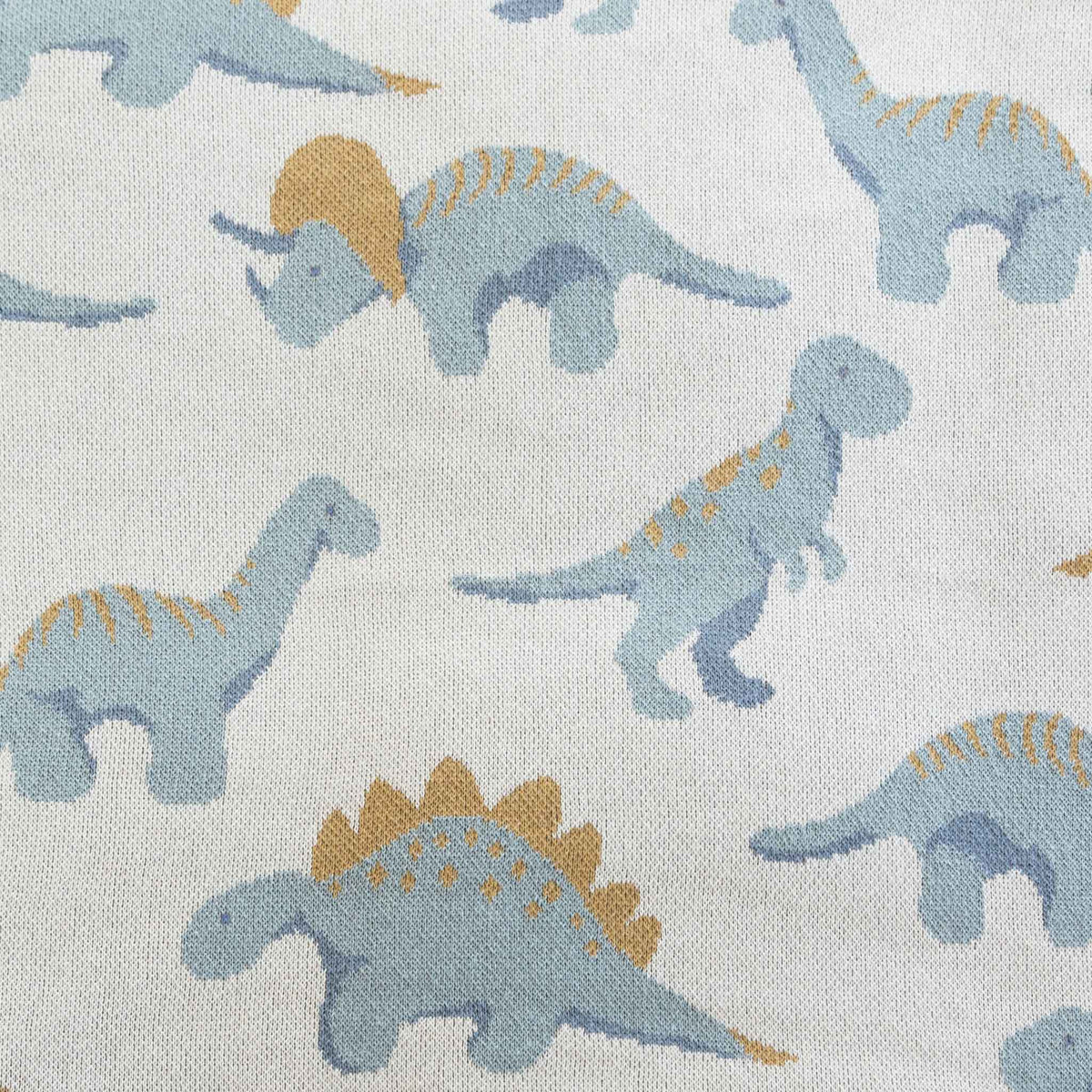 Baby Dinosaur - Cotton Knit Blanket