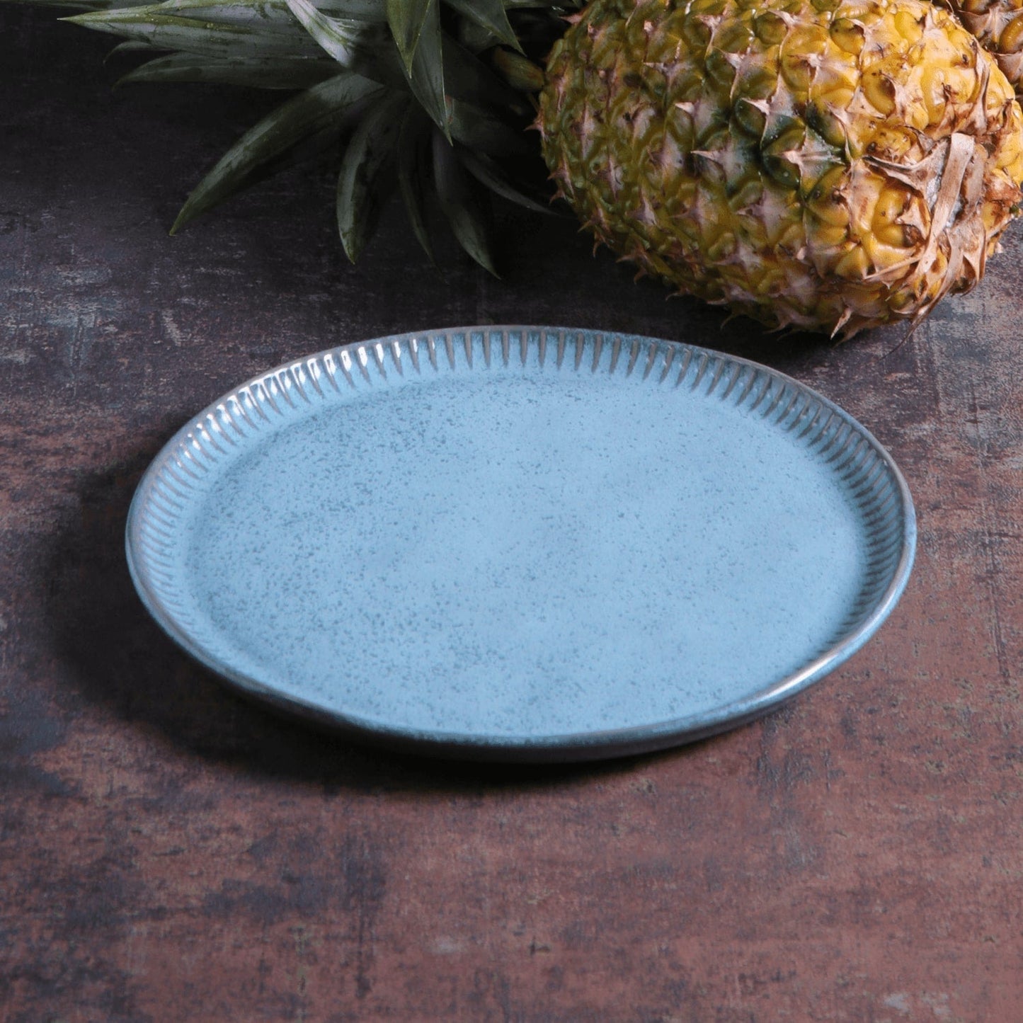 Dinner Plate Set of 6