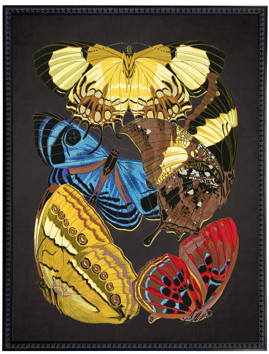 Vintage bright multi butterfly print on a distressed black background in a beaded black frame sized 18x24