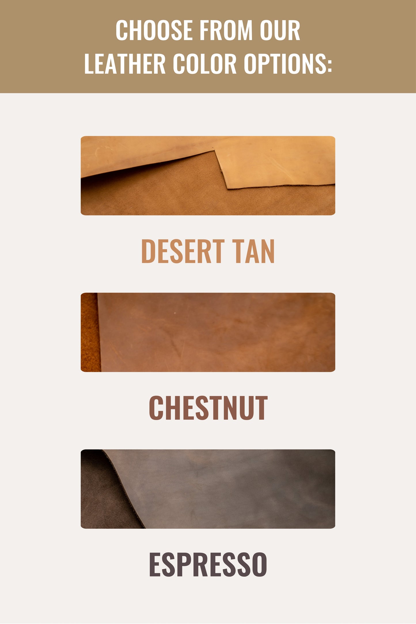 All Leather Professional Book Bag