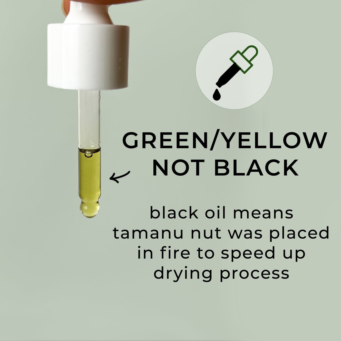 Organic Tamanu Oil