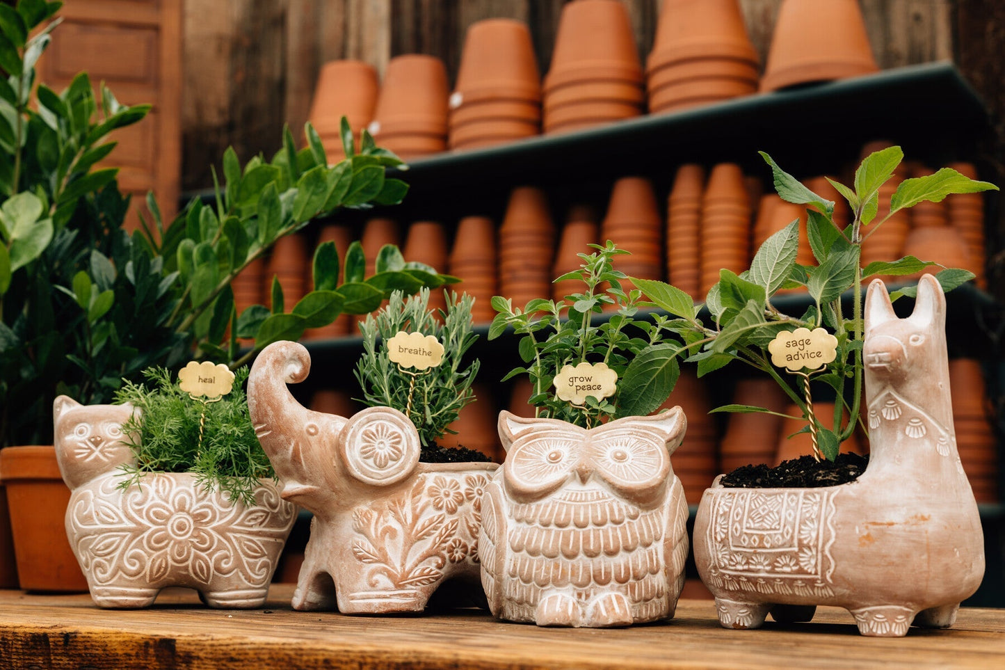 Trumpeting Elephant Planter