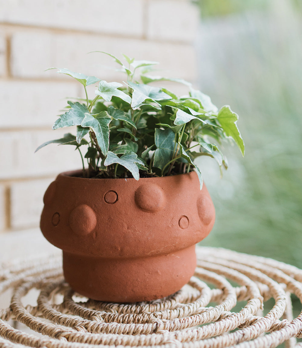 Rakshana Mushroom Plant Pot - Terracotta - Osadia Concept Store