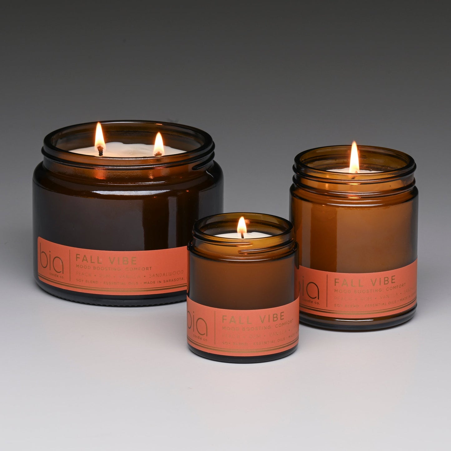 Fall Vibe Functional Fragrance Soy Blend Candle — Spiced Fruit, Cedarwood & Vanilla