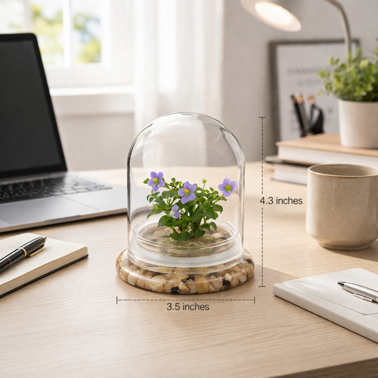 Persian Violet Terrarium, Elegant Live Flowering Plant Gift, Continuous Blooming, Self-Growing, No-Watering, Zero-Maintenance Indoor Glass Décor