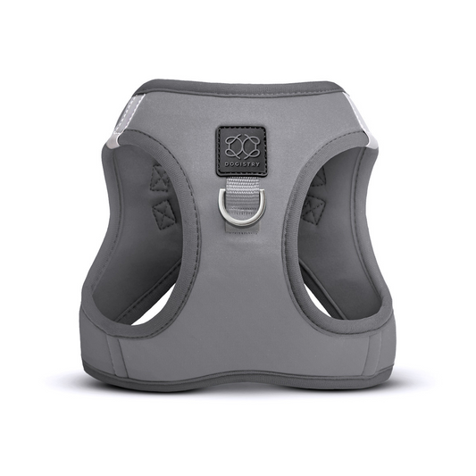 SoHo Dog Harness - Steel