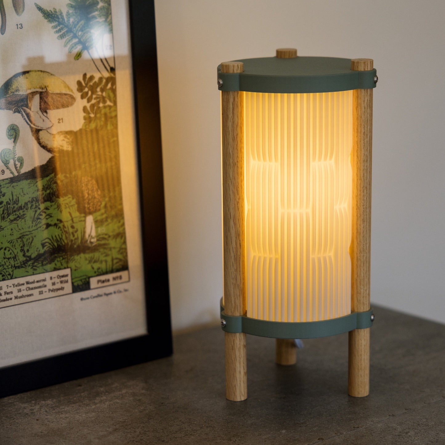 Toro Table Lamp