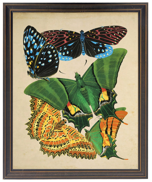 Vintage bright multi butterfly print on a distressed background in a copper and black shaped frame sized 18x24