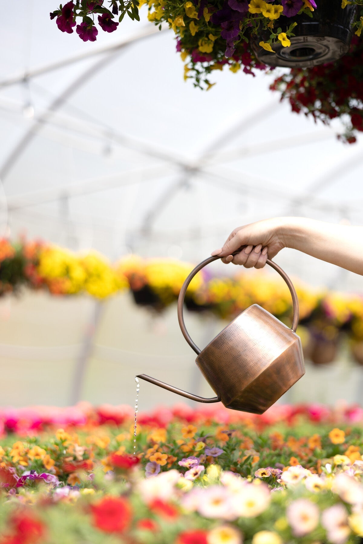 Antique Copper Watering Can - Osadia Concept Store