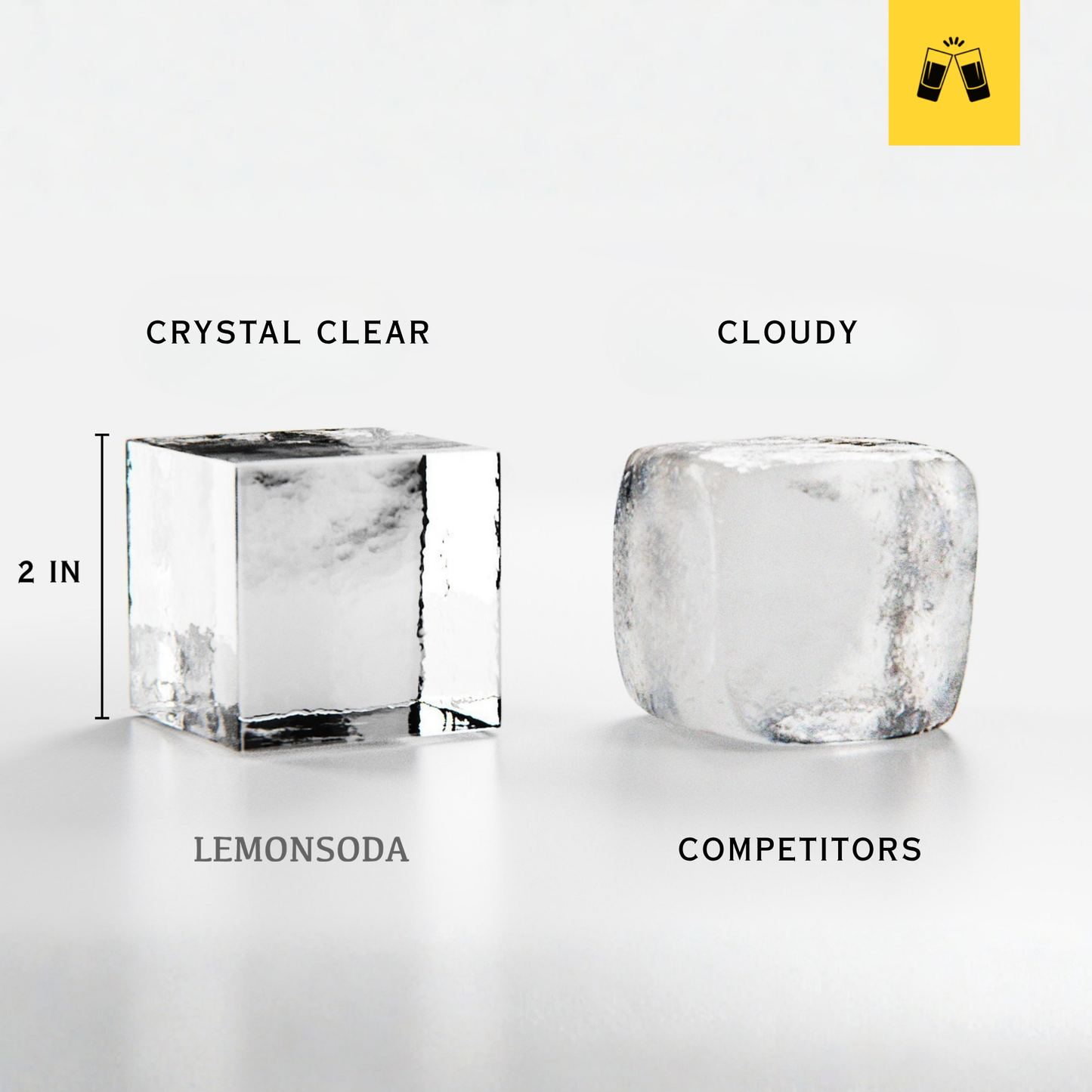 Crystal Clear Ice Cube Mold With Garnish Holder - Eight 2" Square Ice Cubes