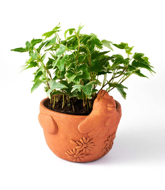 Rakshana Chicken Plant Pot - Terracotta - Osadia Concept Store