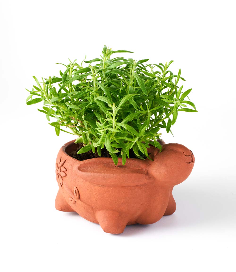 Rakshana Rabbit Plant Pot - Terracotta - Osadia Concept Store