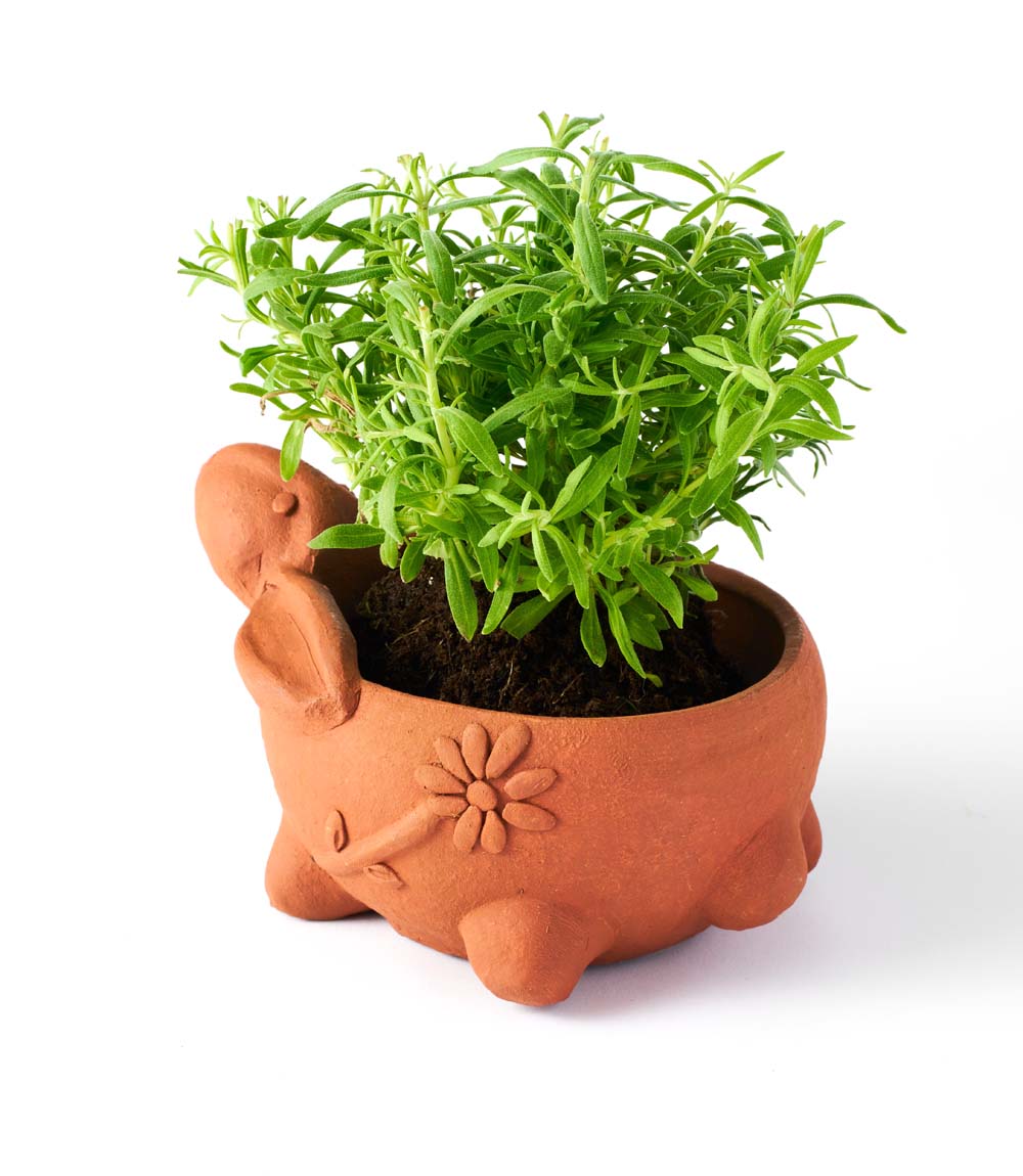 Rakshana Rabbit Plant Pot - Terracotta - Osadia Concept Store