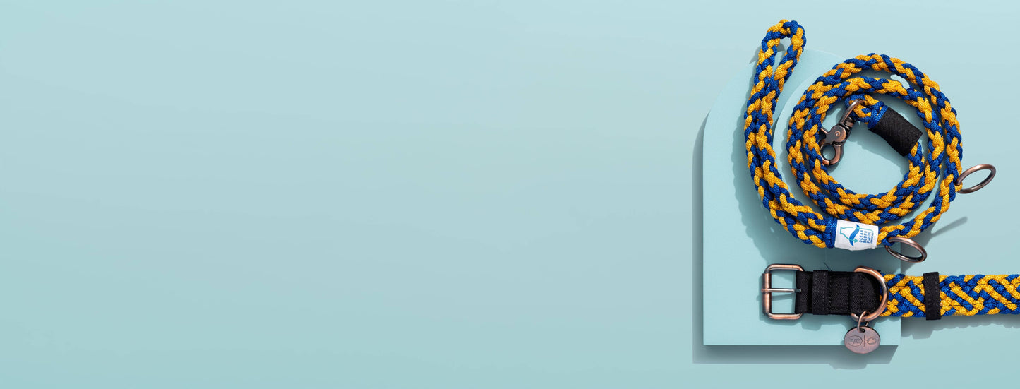 100% Fairtrade Recycled Ocean Bound Plastic - BETTERLEASH