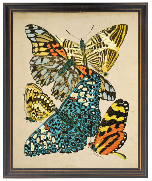 Vintage bright multi butterfly print on a distressed background in a copper and black shaped frame sized 18x24