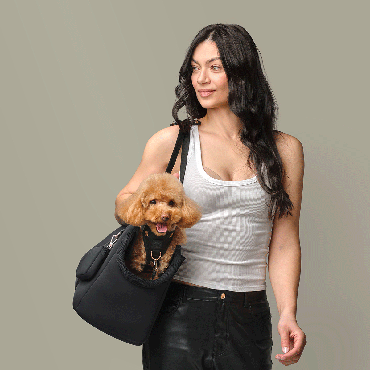 The Tribeca Tote