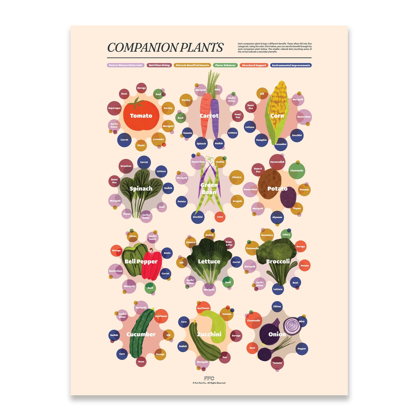 Companion Plants Giclée Print