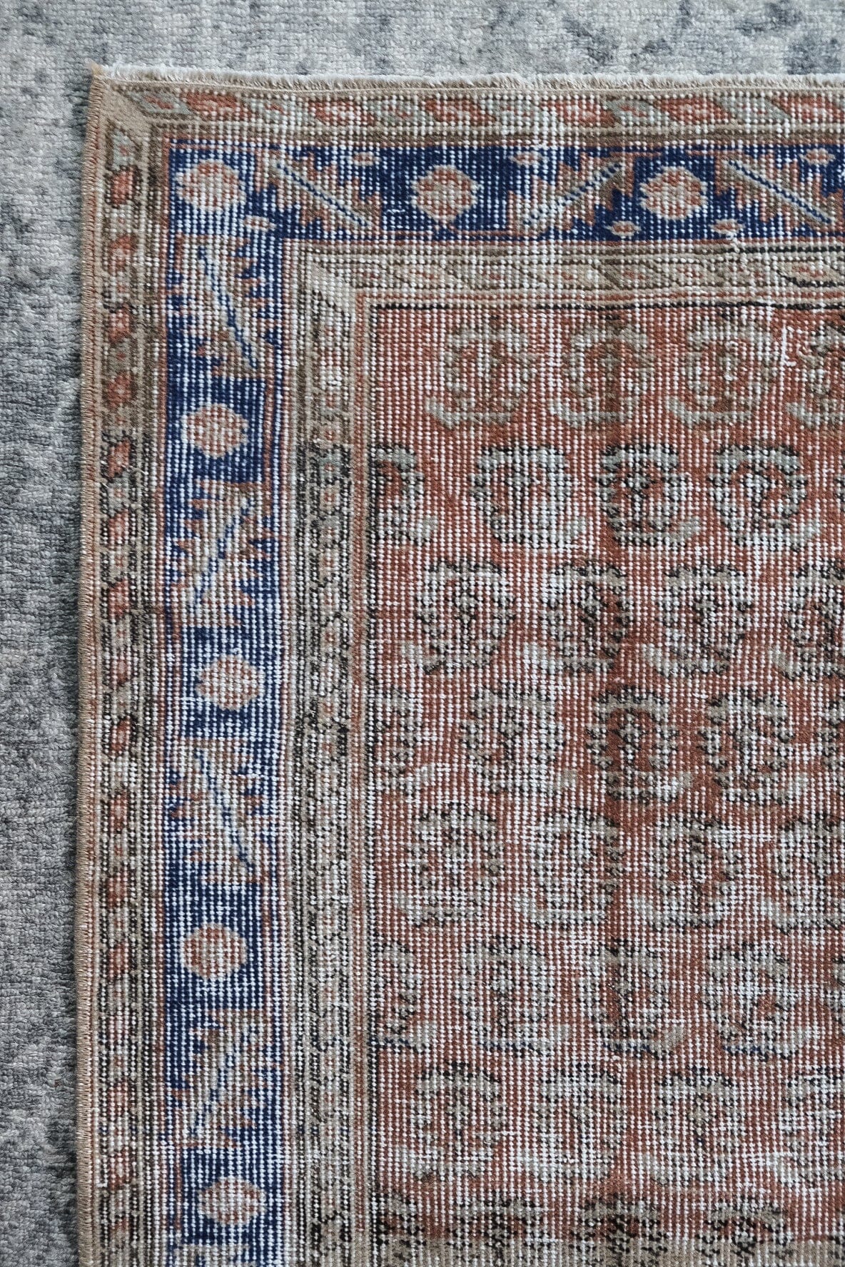 Mehmet (3.8 x 6.6)