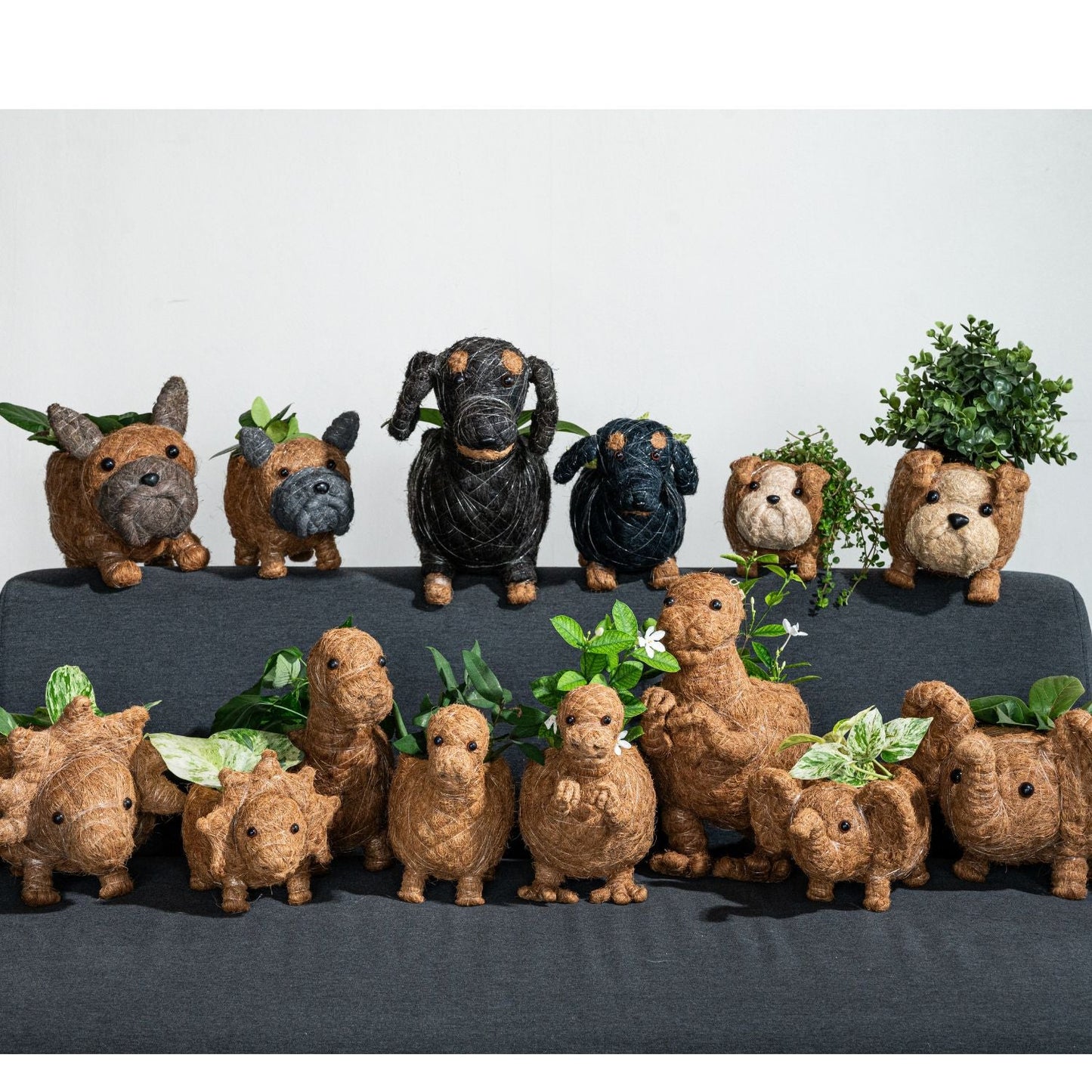 Baby T-Rex Planter - Handcrafted Pots | LIKHÂ