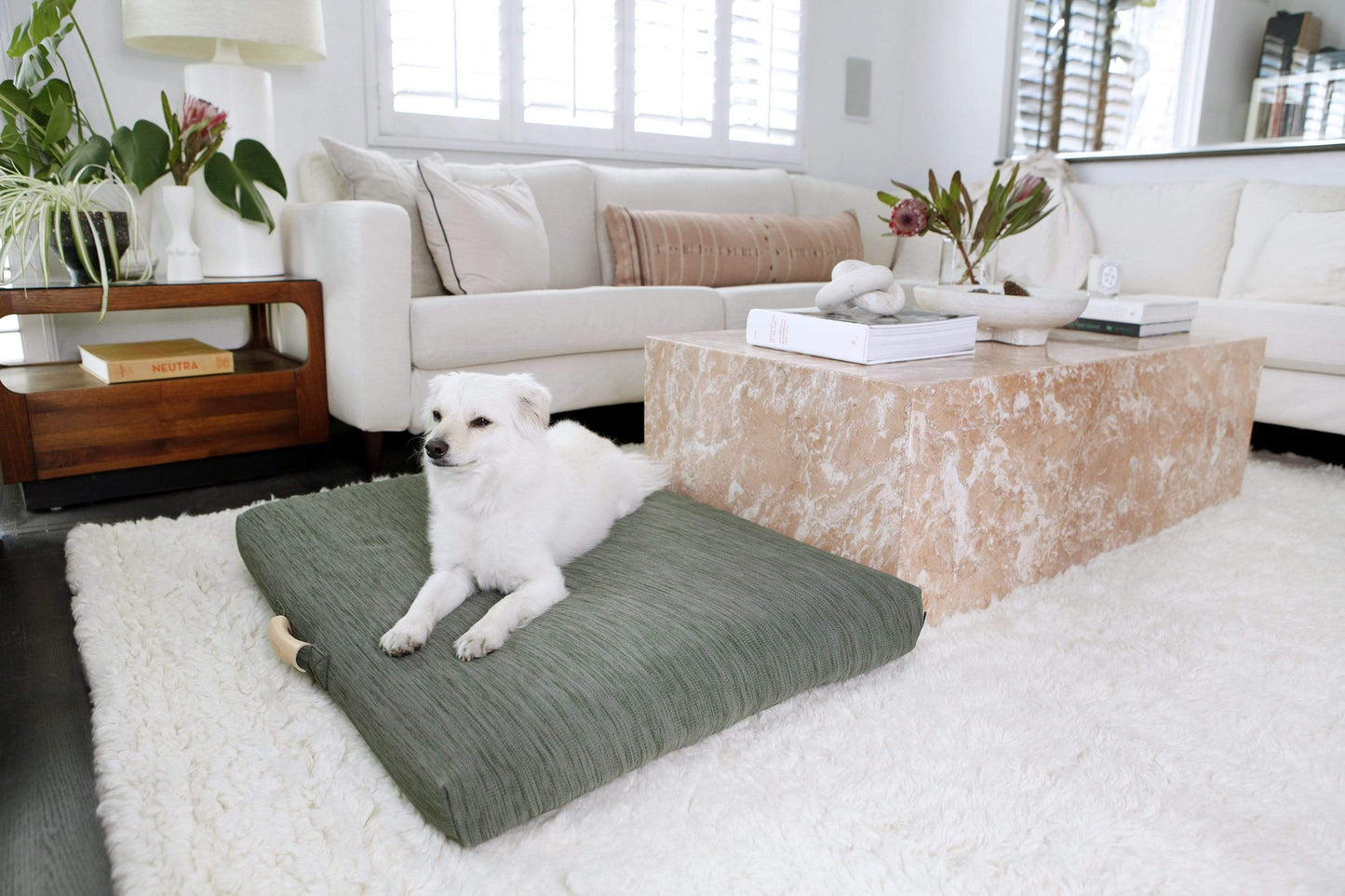 Sage | Modern Dog Bed or Bed Cover