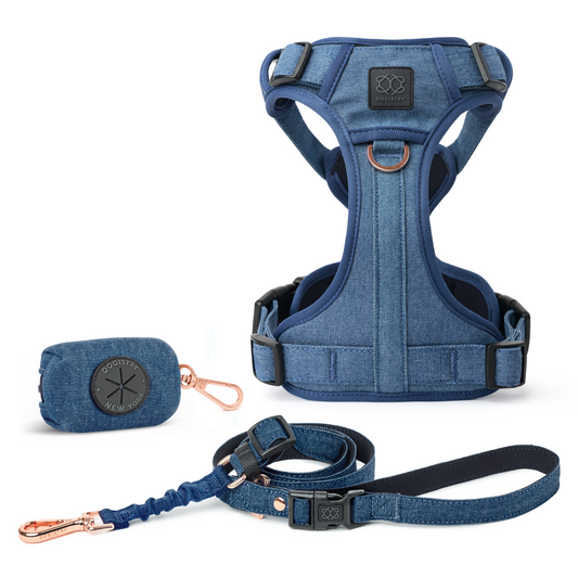 NoMad Adjustable Dog Walking Set - Denim