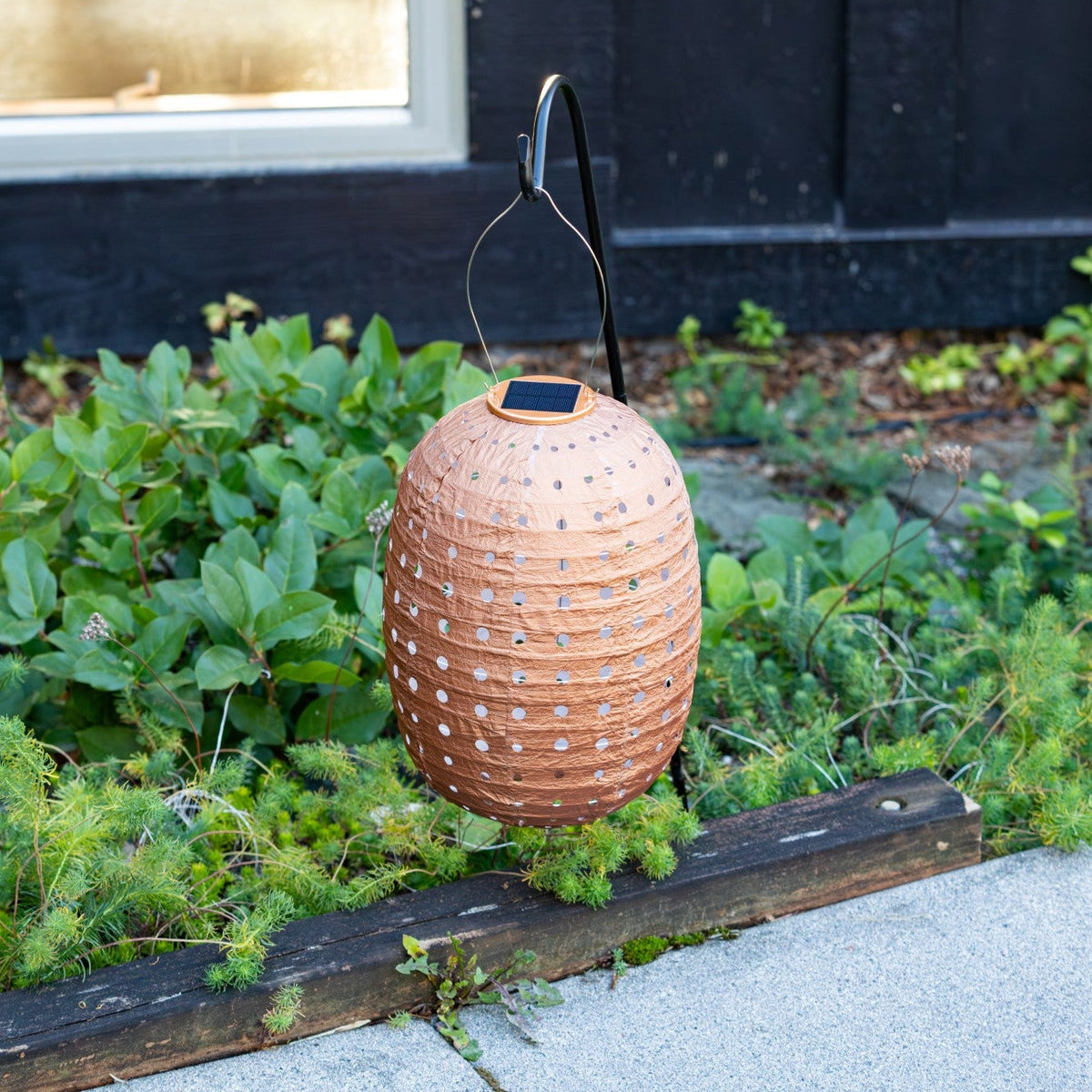 Soji Stella - Barrel Swiss Dot - 14" Solar Lantern