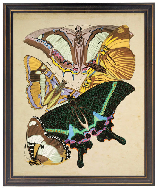 Vintage bright multi butterfly print on a distressed background in a copper and black shaped frame sized 18x24