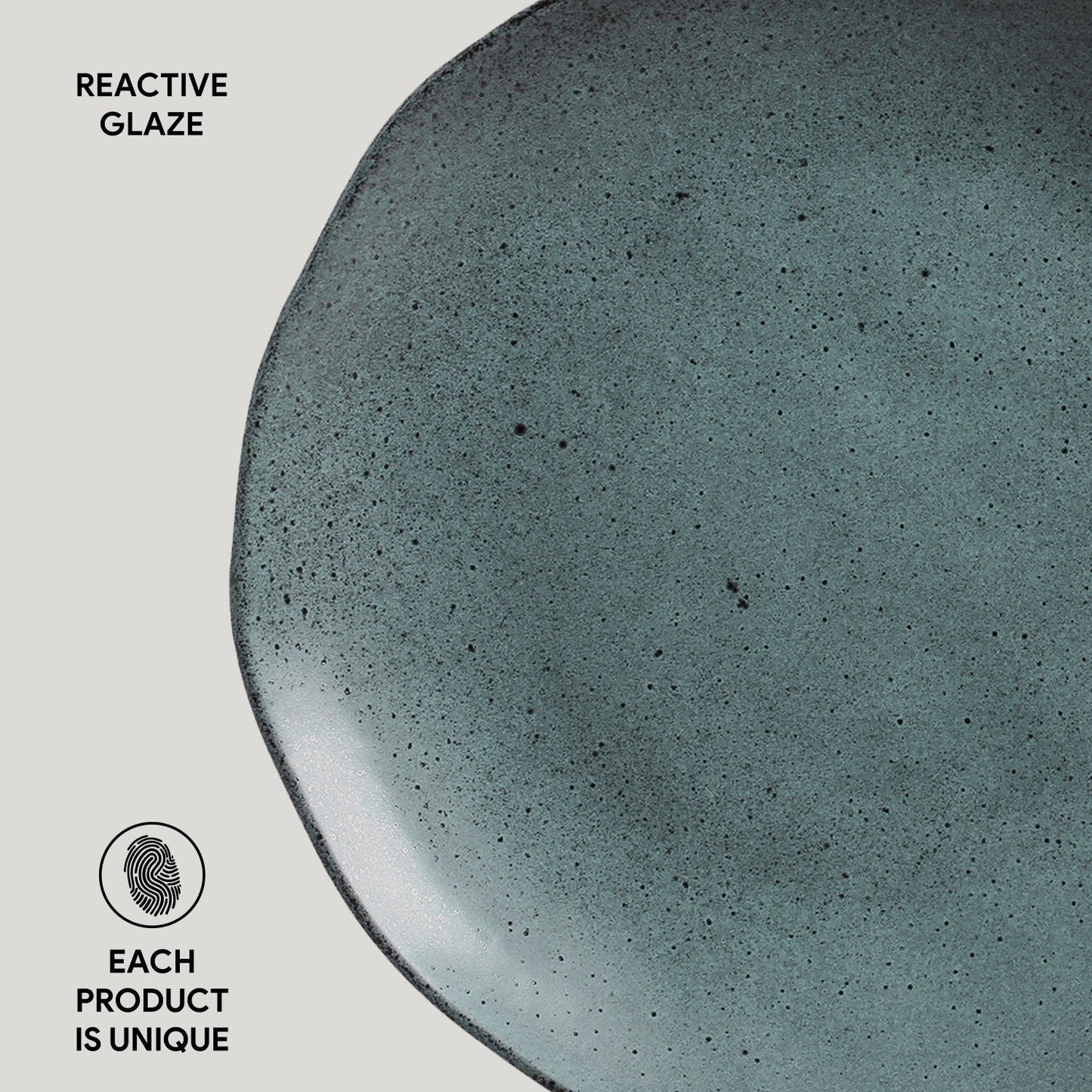 Dinner Plate Set of 6