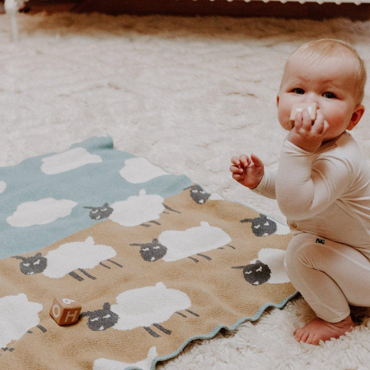 Baby Sheep - Cotton Knit Blanket