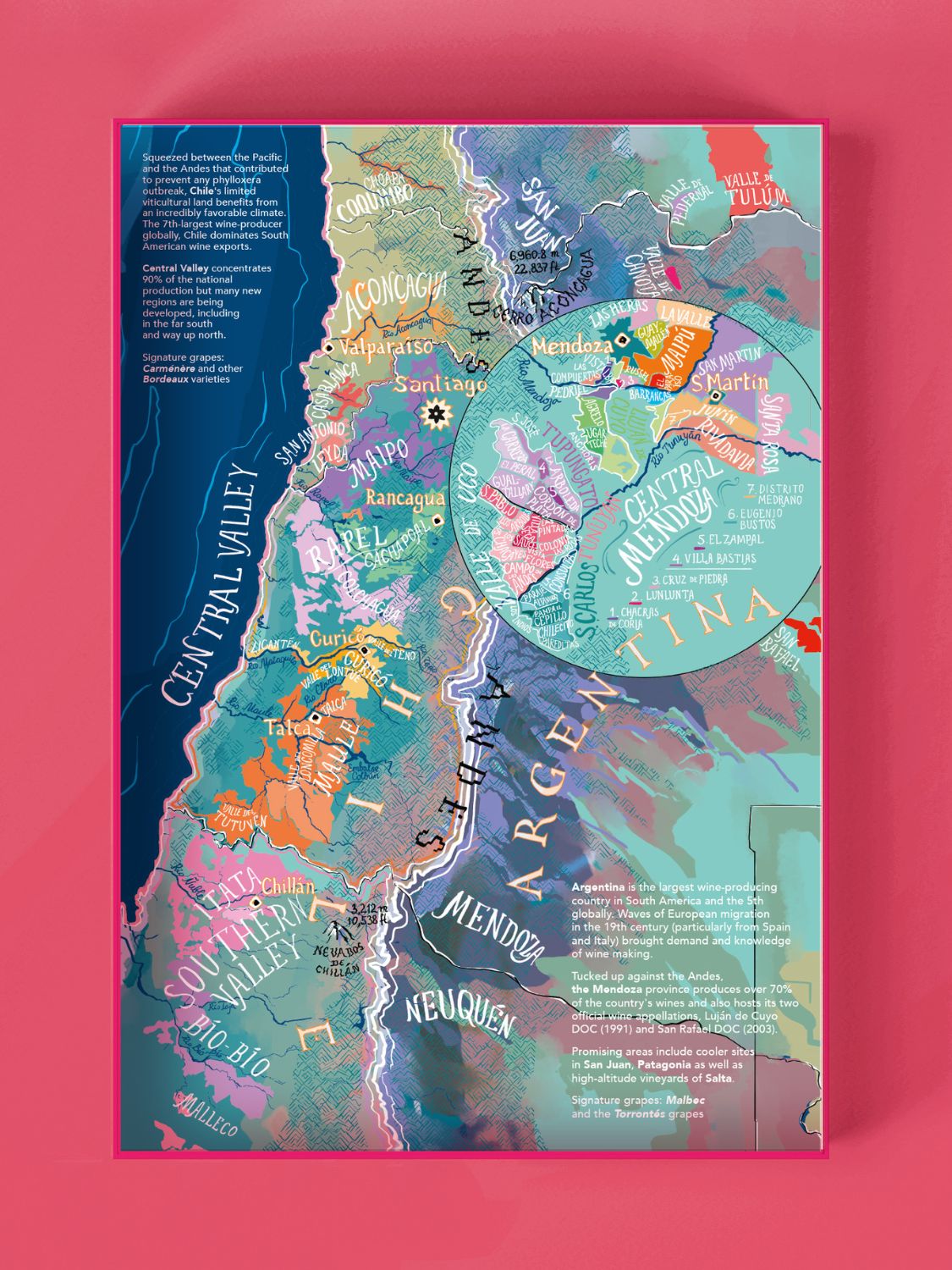 South America Wine Puzzle