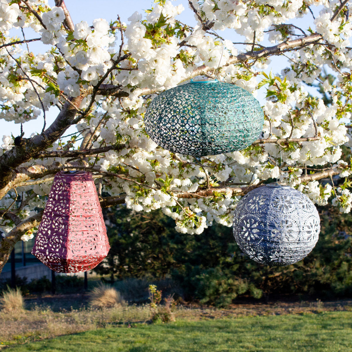 Soji Stella Multi-Shape Solar Lantern 5-pack